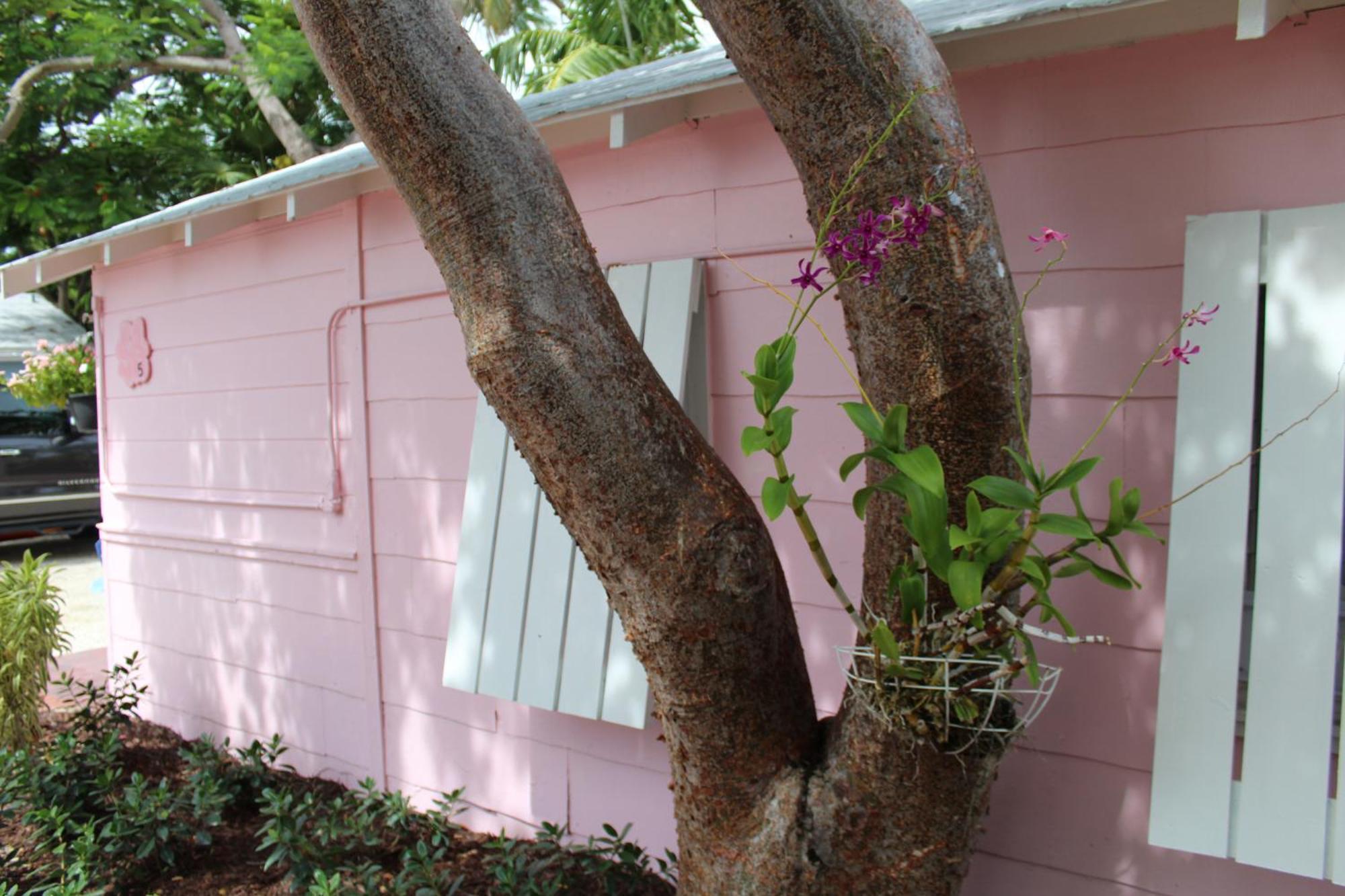 Tropical Cottages Marathon Pokoj fotografie